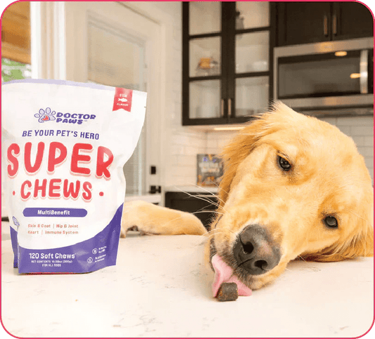 7 Nutrients for Your Pups Glossy Coat - Doctor Paws Co