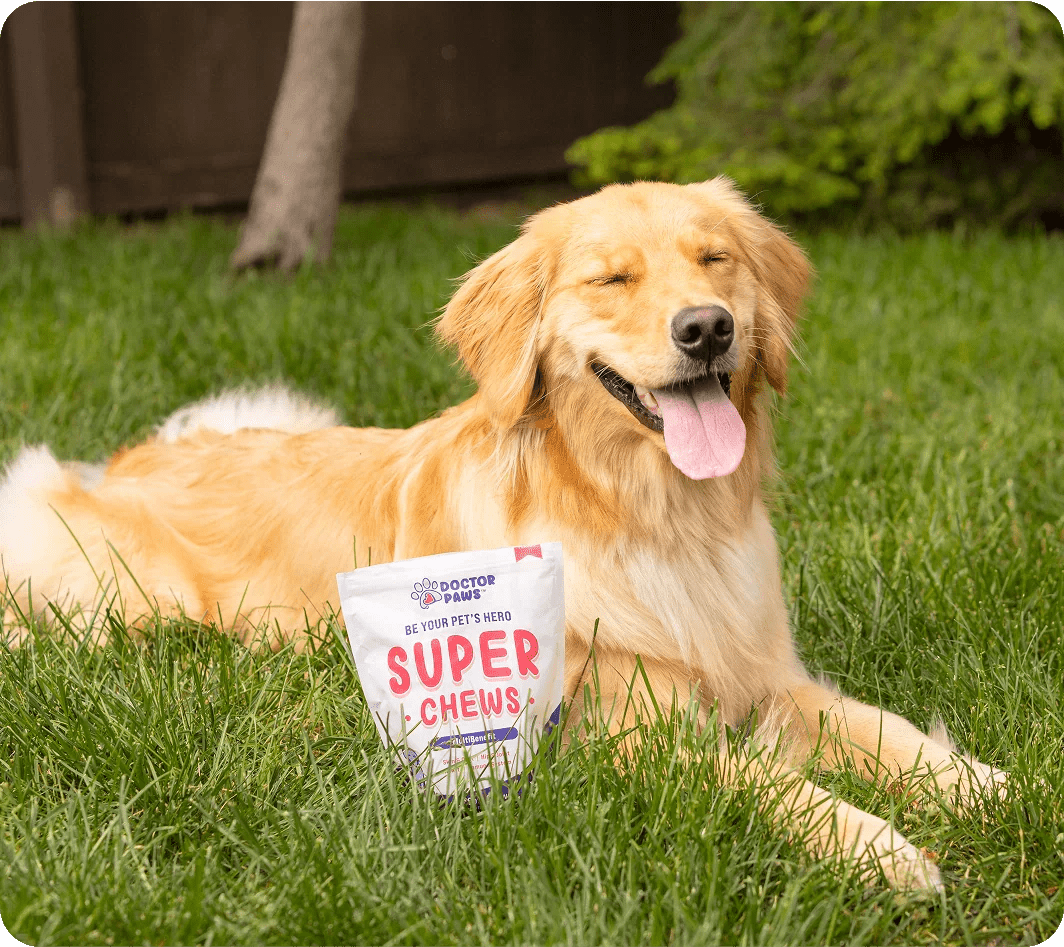 Top Supplements for your Dog’s Heart Health - Doctor Paws Co