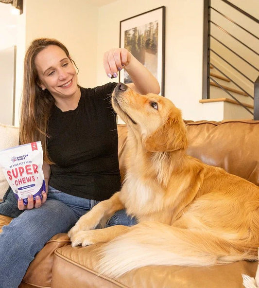 Complete Guide to Glucosamine for Dogs - Doctor Paws Co