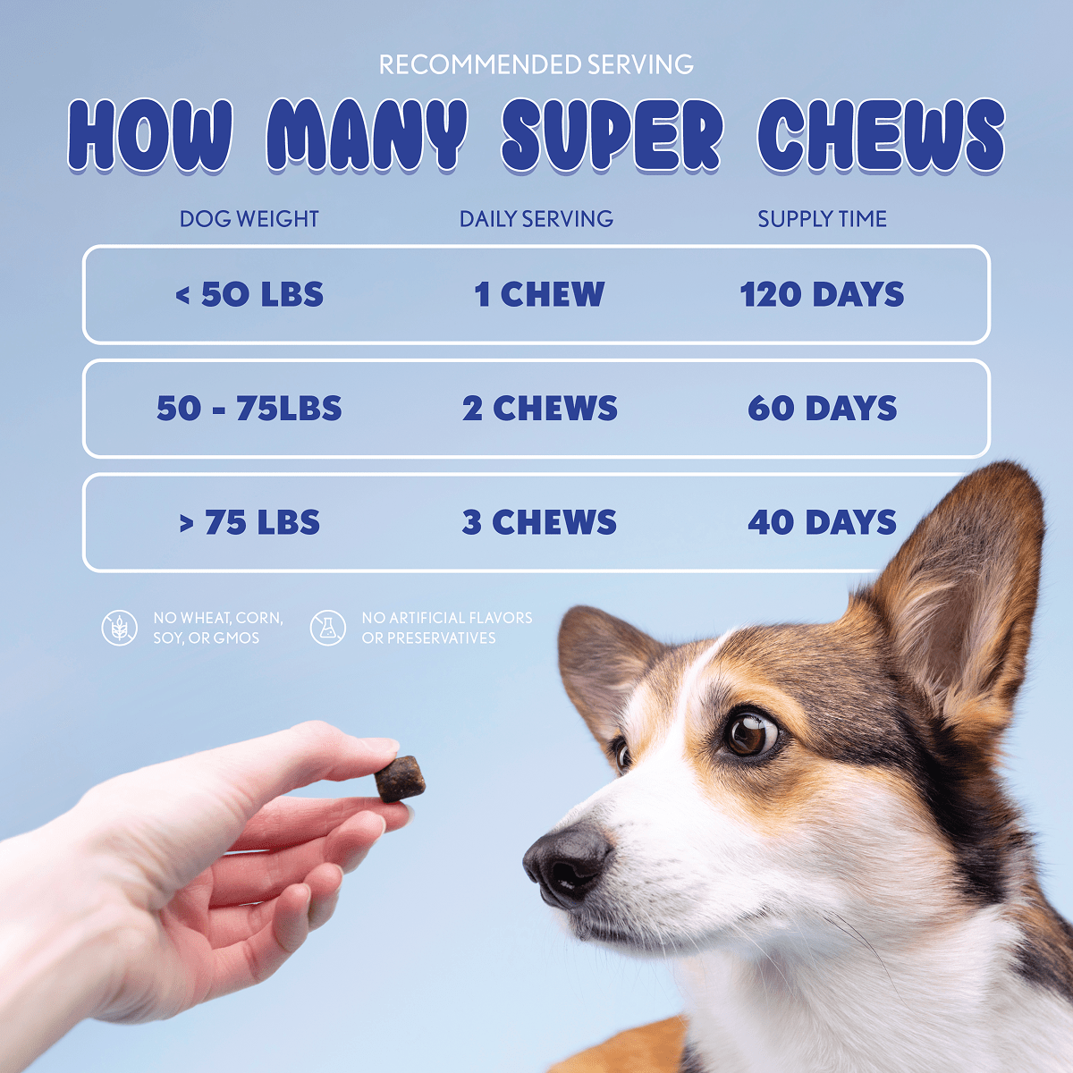 Super Chew - Doctor Paws Co