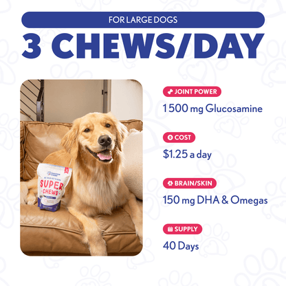 Super Chew - Doctor Paws Co