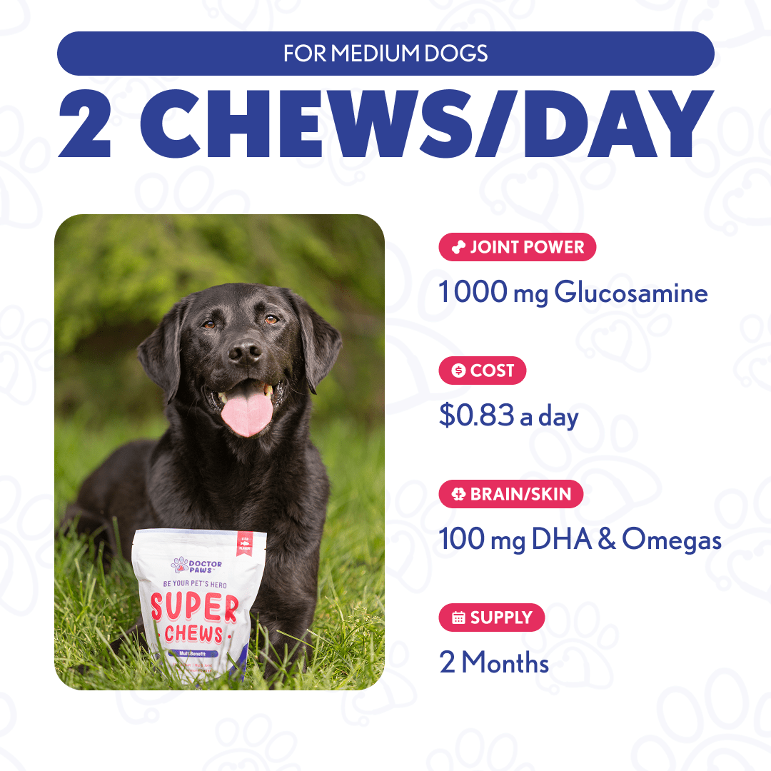 Super Chew - Doctor Paws Co