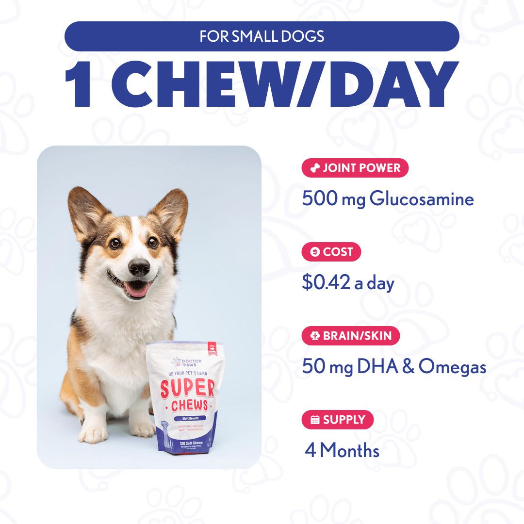 Super Chew - Doctor Paws Co