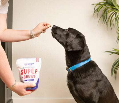 Super Chew - Doctor Paws Co