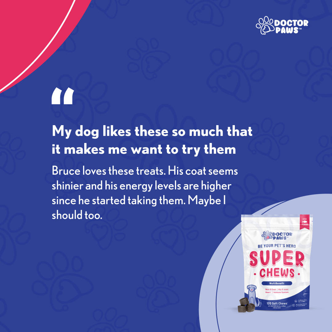 Super Chew - Doctor Paws Co